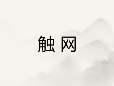 触网