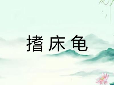 搘床龟