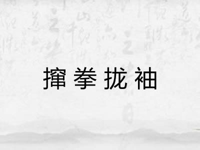 撺拳拢袖