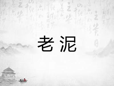老泥