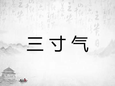 三寸气