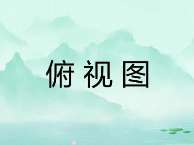 俯视图