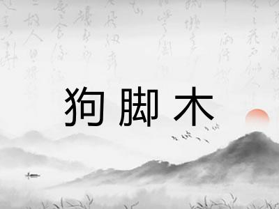狗脚木