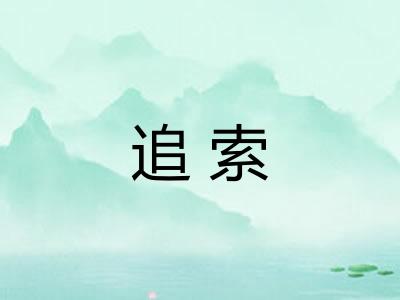 追索