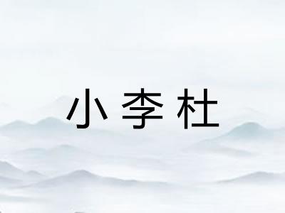 小李杜