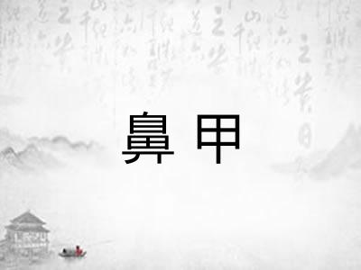 鼻甲