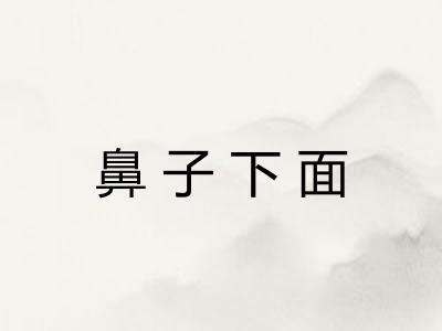 鼻子下面