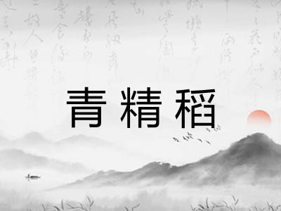 青精稻