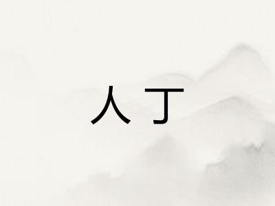 人丁