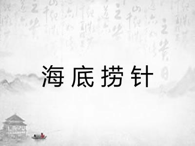 海底捞针