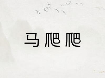 马爬爬