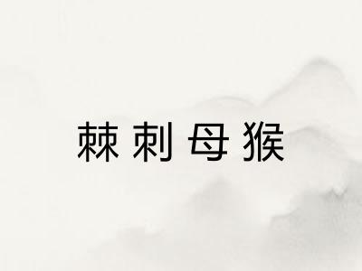 棘刺母猴