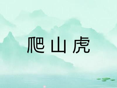 爬山虎
