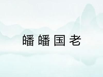 皤皤国老