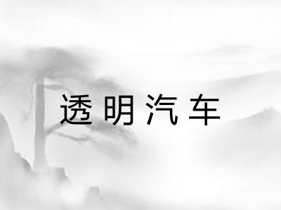 透明汽车