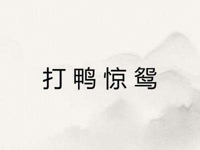 打鸭惊鸳