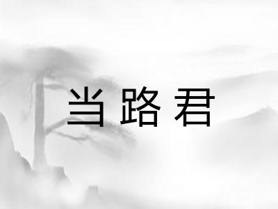 当路君