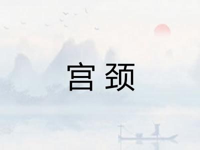 宫颈