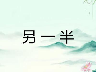 另一半