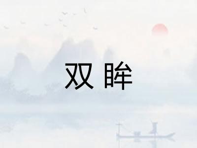 双眸
