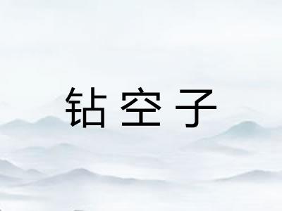 钻空子