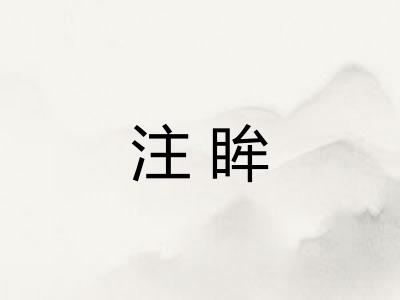 注眸