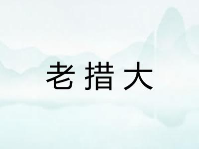 老措大