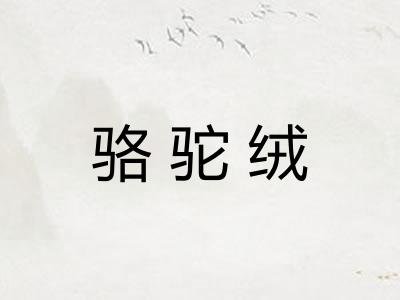 骆驼绒
