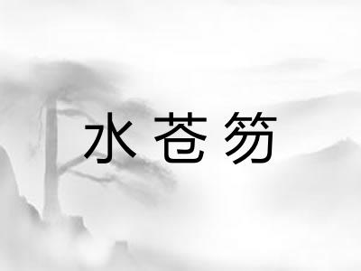 水苍笏