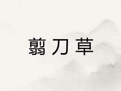 翦刀草