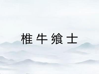 椎牛飨士