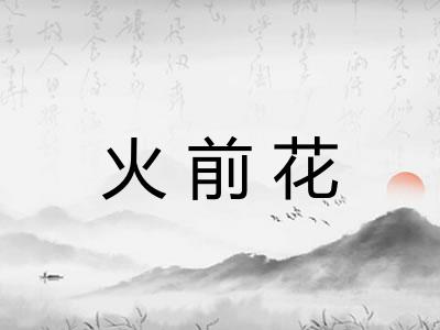 火前花