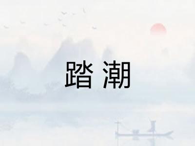 踏潮