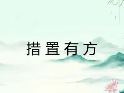 措置有方
