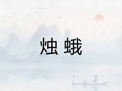 烛蛾