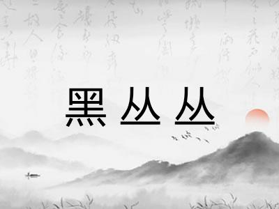 黑丛丛