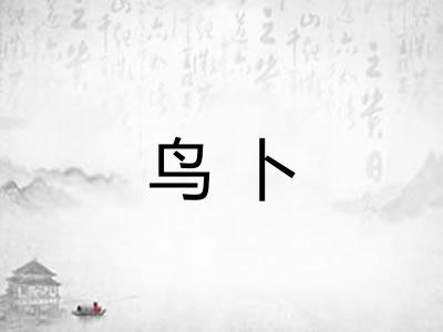 鸟卜