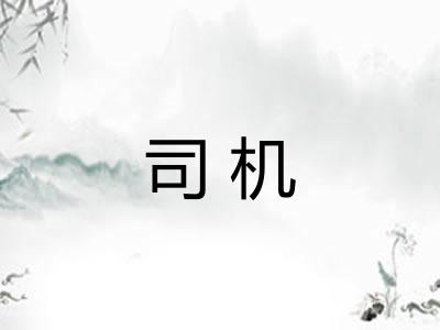 司机