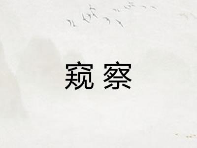 窥察