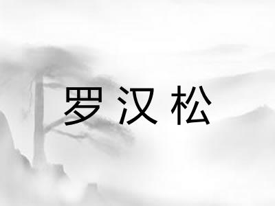 罗汉松