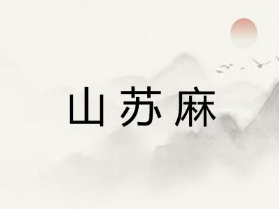 山苏麻