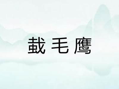 蛓毛鹰