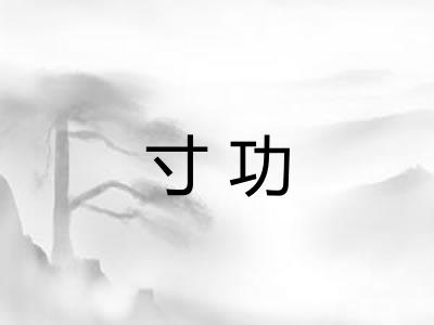 寸功