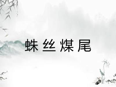蛛丝煤尾