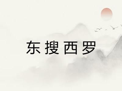东搜西罗