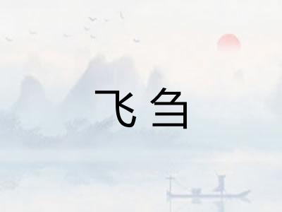 飞刍