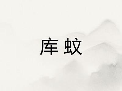 库蚊