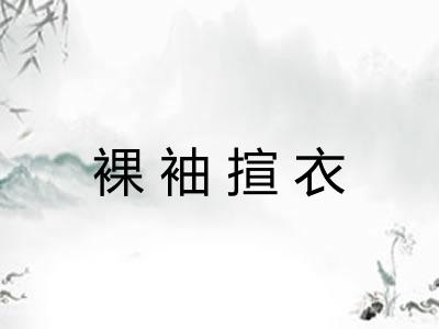 裸袖揎衣
