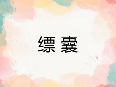 缥囊