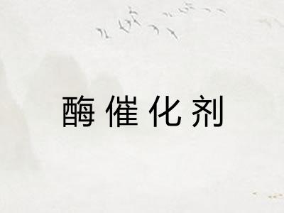 酶催化剂